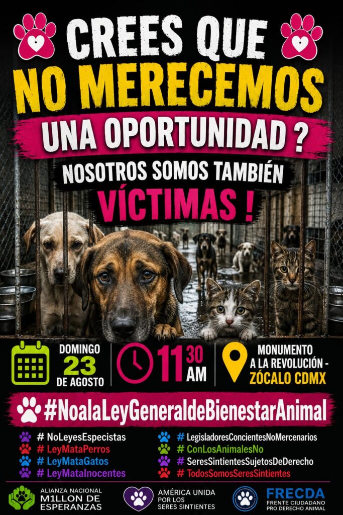 Convocan a Marcha Nacional en defensa de los animales