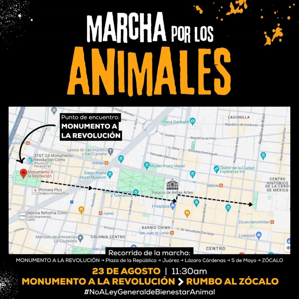 Todo listo para la marcha contra Ley de Bienestar Animal