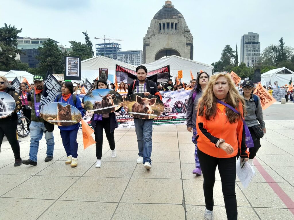 ¡No a la Ley que permite el maltrato animal!