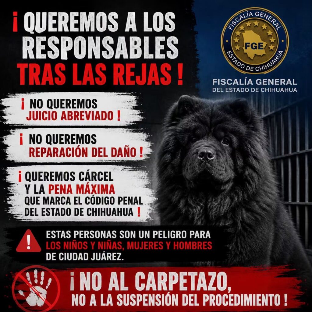 Exigen justicia para chow chow desollado vivo 
