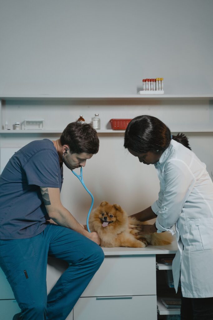 ¿Cuándo visitar al médico veterinario?