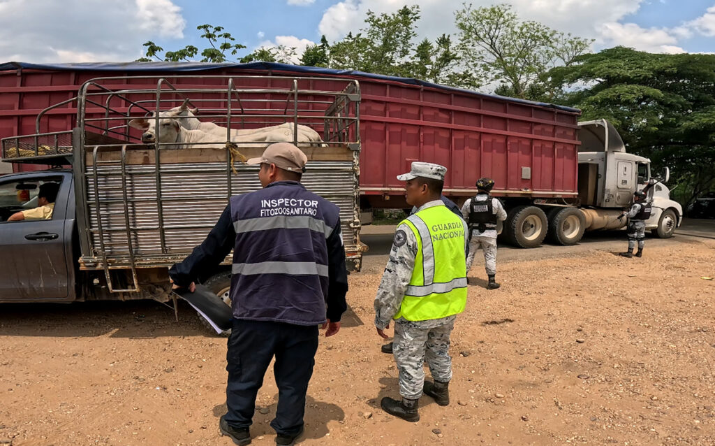 Inspeccionan cargamentos contra gusano barrenador