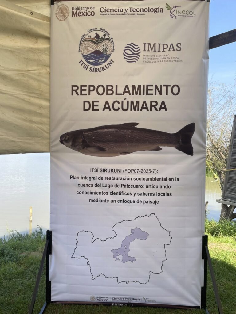 Fortalecen la restauración del Lago de Pátzcuaro
