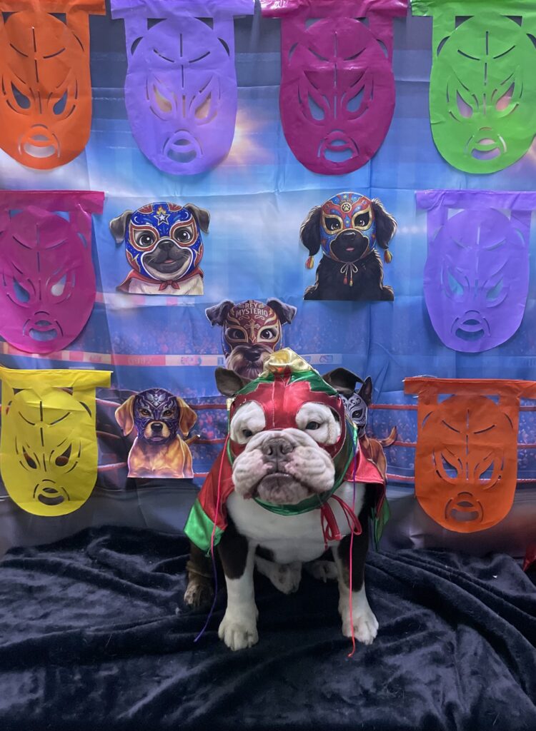 Perritacate Patrio: menú muy mexicano para los lomitos
