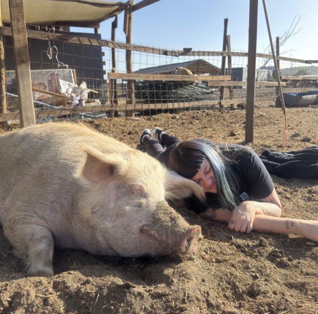 La historia detrás del Día Mundial del Veganismo