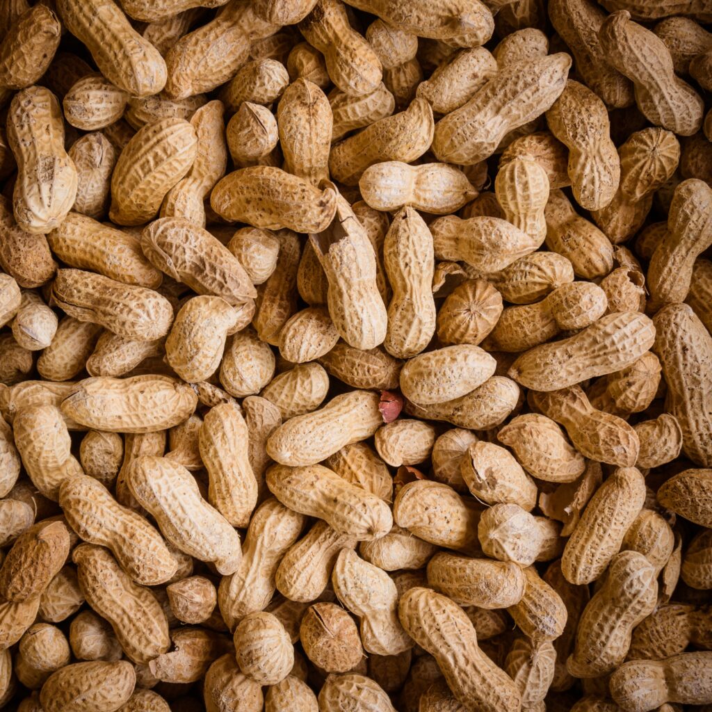 Crece 23.3 % la producción nacional de cacahuate