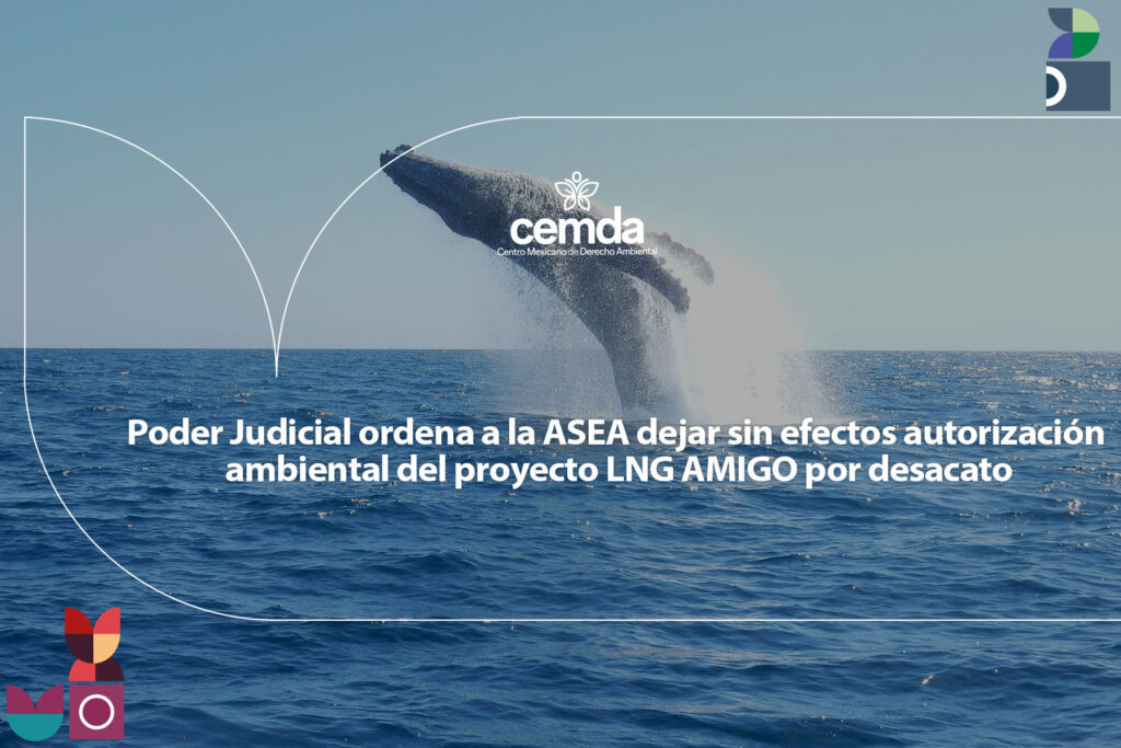 La ASEA desacata sentencia para detener proyecto 