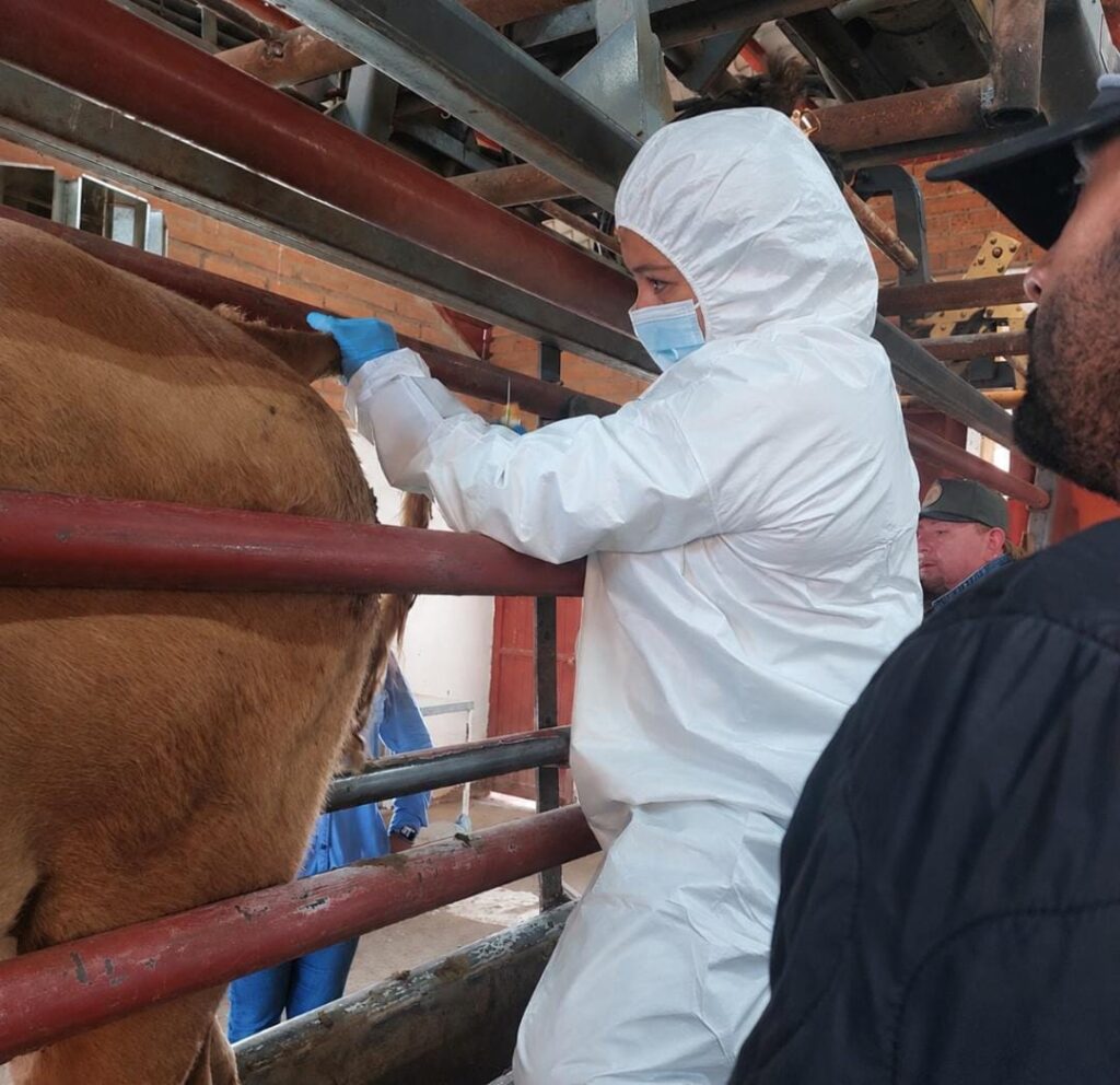 Descartan fiebre aftosa en bovino en Agua Prieta