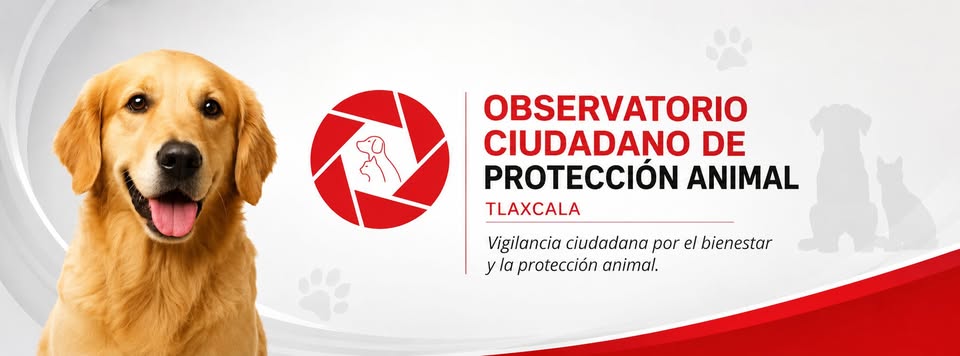 Impulsan curso gratuito sobre gusano barrenador