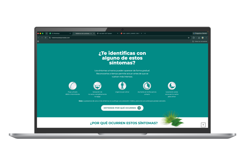 La ciencia detrás de Serenoa repens y Urtica dioica