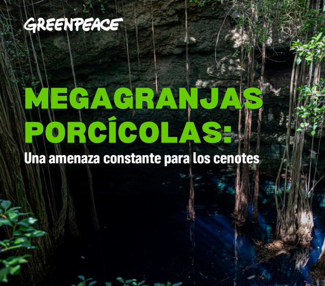 Exigen acciones ante contaminación del agua en Yucatán